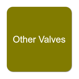 Other Valves