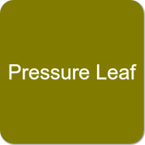 Pressure Leaf Filters