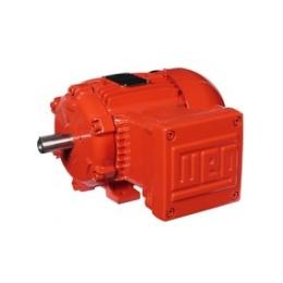 Electric Motors