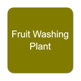 Fruit Washing Plant