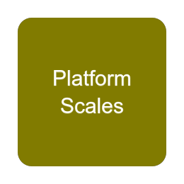 Platform Scales