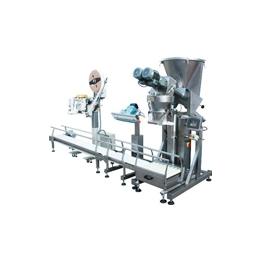 Automatic Bag Weighing, Filling & Sealing Line