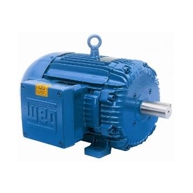 Electric Motors