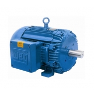 Electric Motors