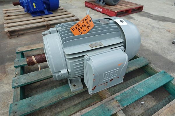 Pole Motor, 30KW @2960 RPM