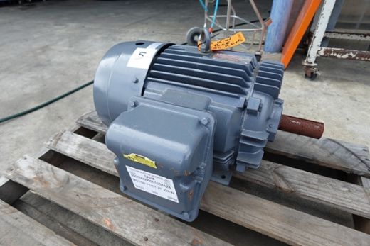 Pole Motor, 22KW @2950 RPM