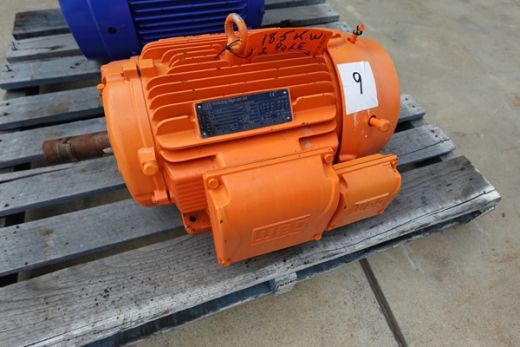 Pole Motor, 18.5KW @2950 RPM
