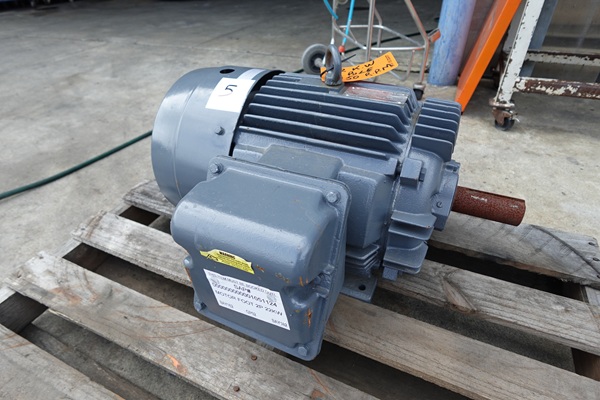 Pole Motor, 22KW @2950 RPM