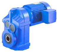 Gear Motor