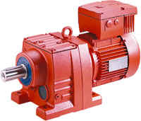 Gear Motor